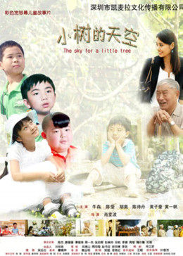 陈诗丹 黄子豪 黄一帆