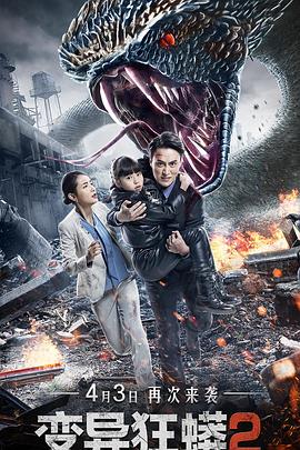 朱荣荣 舒杨 文卓