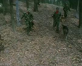 颜丙燕 李修贤 黄子洋