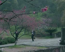 孙晨耀 富丹妮 于晓光 蒋非燕