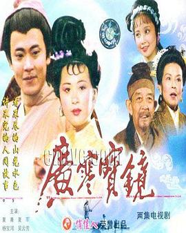 夏菁,夏军,杨宝河,吴云芳