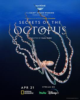 Alex Schnell,保罗·路德