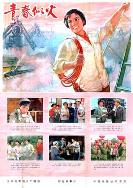 杨雅琴 辛静 鲁非