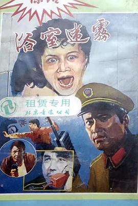 范晓波,曹向东,王霙,赵桐光,马晓峰,蓝振波,黄玉萍,姚建华