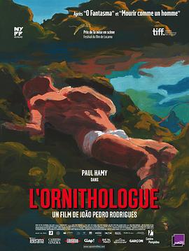 若昂·佩德罗·罗德里格斯 保罗·艾米 温菡