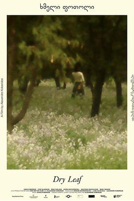 David Koberidze,Otar Nijaradze