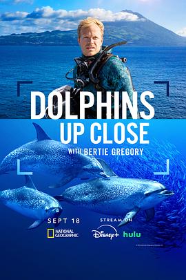 贝尔蒂·格雷戈里