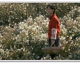 李部 戴子翔 李洋