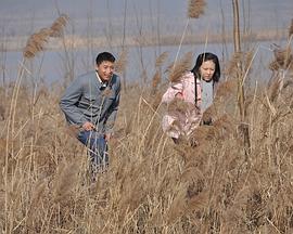 刘华鑫 王乐君 郭宏杰 王文山