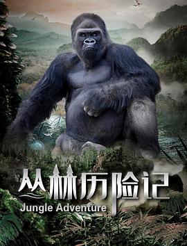 陈升卫,石雨婷,张艺泸,王国华