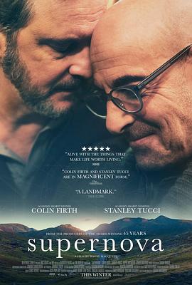 科林·费尔斯 斯坦利·图齐 皮帕·海伍德 彼得·麦昆 妮娜·