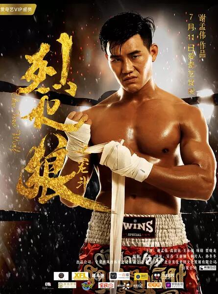 谢孟伟 高依依 王永强 项羽 贾晓龙