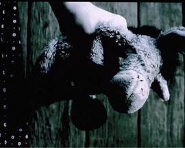 Arkadiusz Detmer 安杰列·查拉 Janusz