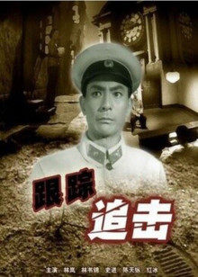 林岚 史进 陈天纵 林书锦 红冰