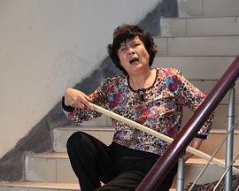 方晓莉 于清斌 张英红 韩三明 高川 邵帅