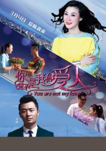 魏莲峰 侯天悦 戚九洲 高川 张京生