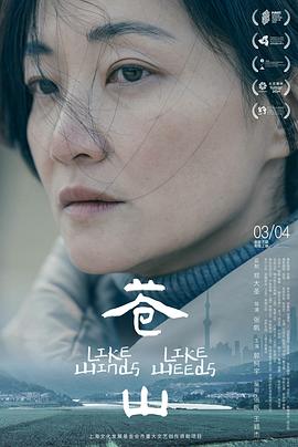 郭柯宇,曲丰国,陈嘉阳,王诗云,刘桂红,曹玉梅