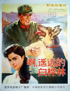 卢君 韩月乔 王滨雁