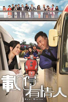 黎耀祥,苏玉华,洪永城,唐诗咏,钟景辉,麦长青,袁伟豪,张景