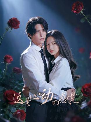 陈柏融 余文诗 邵欣 宋益凡