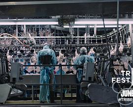 Darin Detwiler Rene Costa