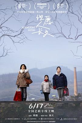 徐海鹏,练雅佳,洪诗涵,杨文,张长敏,魏如光,袁大森