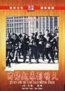 白杨 张雁 孙铮