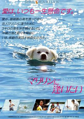 安田成美 加藤昌也 三浦友和 笑福亭鶴瓶